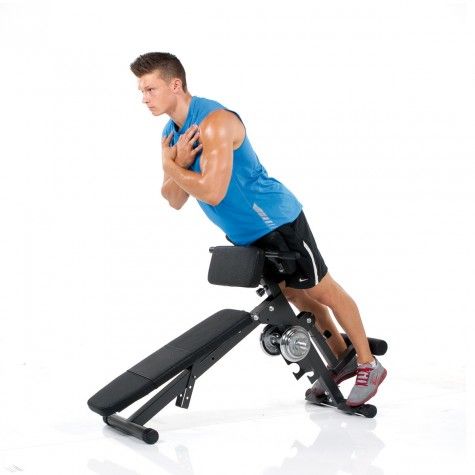 Finnlo Ab Trainer Back Trainer Ideal for backtraining